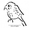 26_chicago-88-kestrel.jpg
