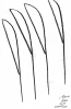 26_ruemlingen-10b.jpg